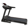   BRONZE GYM T812 LC  -     -, 