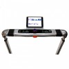   EVO FITNESS X500 -     -, 