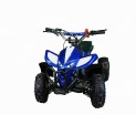   MOWGLI 50 cc -     -, 