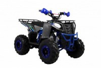  Wels ATV THUNDER EVO 125 s-dostavka  -     -, 