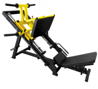    BRONZE GYM BGR-801, 45  -     -, 