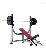      Life Fitness SOIB -     -, 