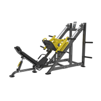 BRONZE GYM PL-1717     45  proven quality -     -, 