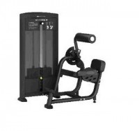    BRONZE GYM BLANC 31 BN31 -     -, 