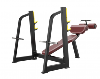     Protrain BPL141   s-dostavka -     -, 