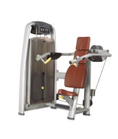 - BRONZE GYM A9-003A  -     -, 