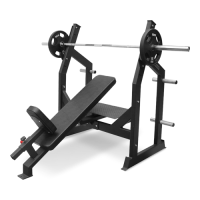 BRONZE GYM AL-305      -     -, 