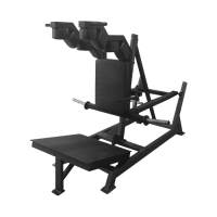 BRONZE GYM BGR-802   S-Dostavka -     -, 