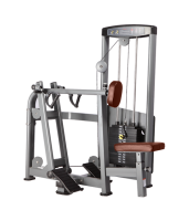   BRONZE GYM D-004  -     -, 