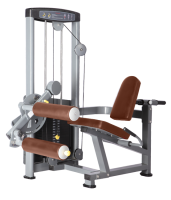    BRONZE GYM D-013  -     -, 