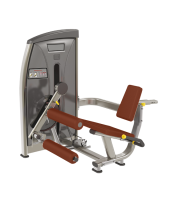    BRONZE GYM E-013  -     -, 