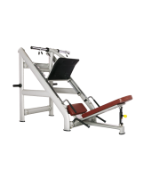     45  BRONZE GYM H-022  -     -, 