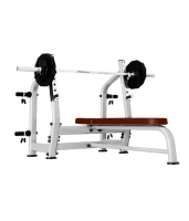     BRONZE GYM J-023  -     -, 