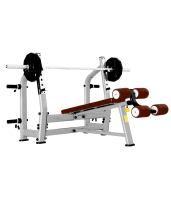       BRONZE GYM J-024  -     -, 