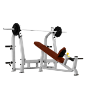       BRONZE GYM J-025  -     -, 