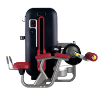    BRONZE GYM MT-013A  -     -, 