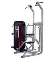     BRONZE GYM MT-008  -     -, 