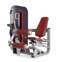    BRONZE GYM MT-013  -     -, 