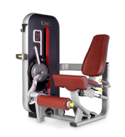    BRONZE GYM MT-014  -     -, 