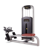   BRONZE GYM MV-012A  -     -, 