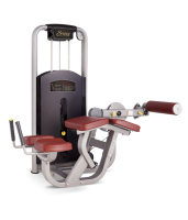    BRONZE GYM MV-013A  -     -, 