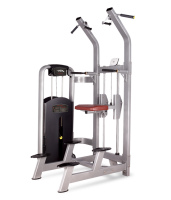     BRONZE GYM MV-008 -     -, 