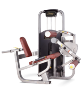    BRONZE GYM MV-013  -     -, 