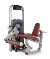    BRONZE GYM MV-014  -     -, 