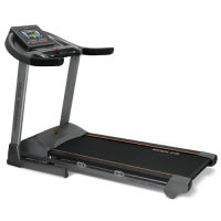   BRONZE GYM T801 LC TFT  -     -, 