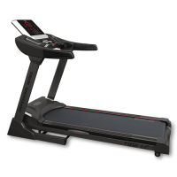   BRONZE GYM T812 LC  -     -, 