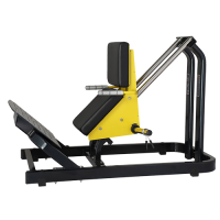 BRONZE GYM XA-00 - -     -, 