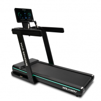   BRONZE GYM WALKWAY    -     -, 