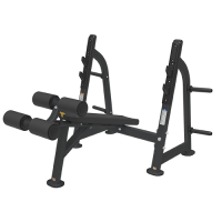 BRONZE GYM BR-1013       -     -, 