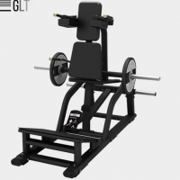 GLT PL31       vasil-gym -     -, 