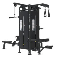 BRONZE GYM MS-1005  4-  -     -, 