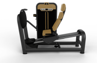   /LEG PRESS BM-015 -     -, 