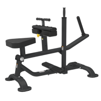 BRONZE GYM PL-1719   -     -, 