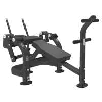 BRONZE GYM PL-1720 - -     -, 