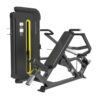    BRONZE GYM BW-3006 -     -, 