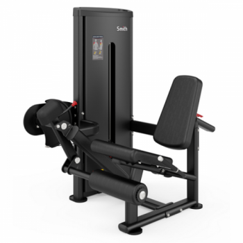  Smith DA006  s-dostavka -     -, 