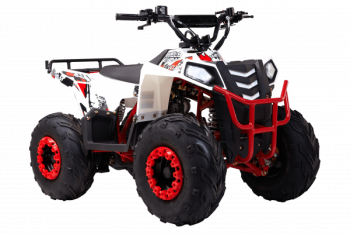  Wels  THUNDER EVO.M 110cc  s-dostavka -     -, 