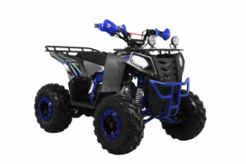  Wels ATV THUNDER EVO 125 X ST s-dostavka -     -, 