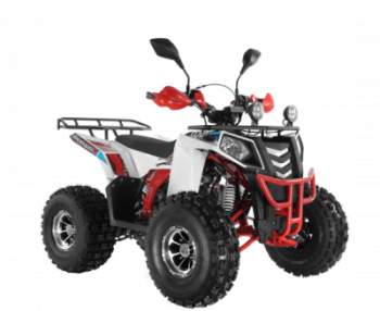  Wels ATV THUNDER EVO 125  s-dostavka  -     -, 