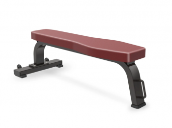    Protrain BPL136   vasil -     -, 