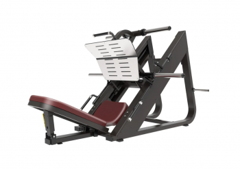     45     Protrain BPL156    -     -, 