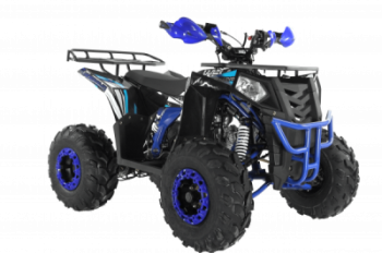  Wels ATV THUNDER EVO 125 s-dostavka  -     -, 