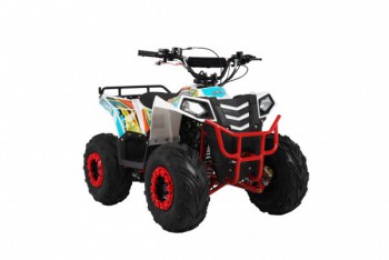  Wels  THUNDER EVO.M 110cc  s-dostavka -     -, 