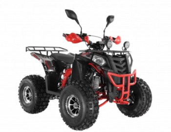  Wels ATV THUNDER EVO 125  s-dostavka  -     -, 