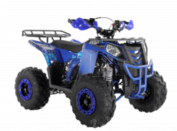  Wels ATV THUNDER EVO 125 s-dostavka  -     -, 