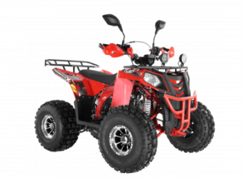  Wels ATV THUNDER EVO 125  s-dostavka  -     -, 